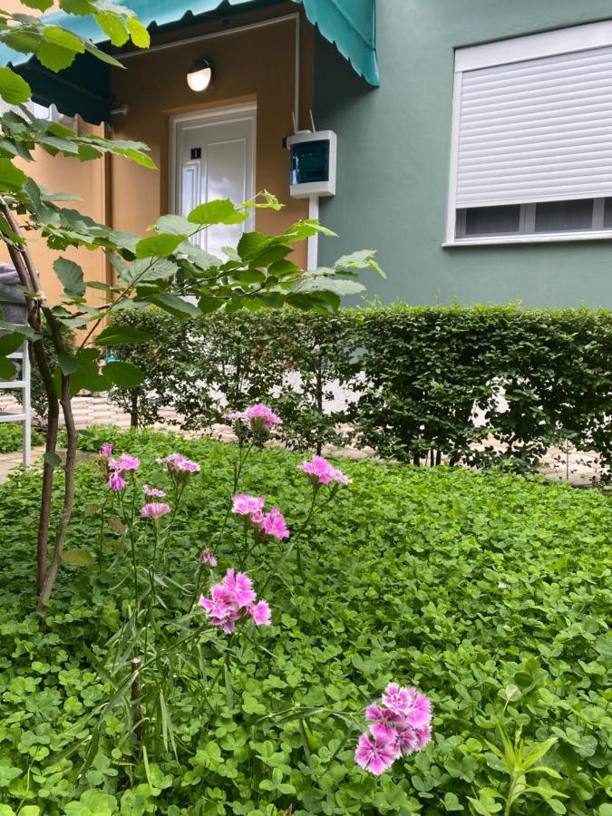 Vila Ajdinaj Berat Bagian luar foto